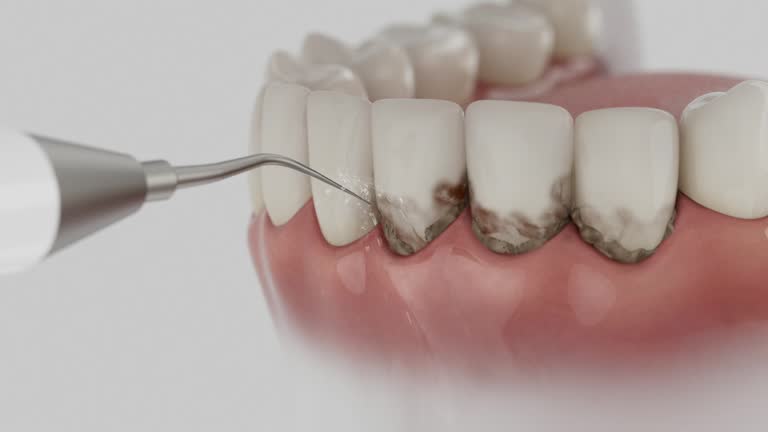 Reliable Dental contractor in Jacksonville, NC by Dentist Open Now